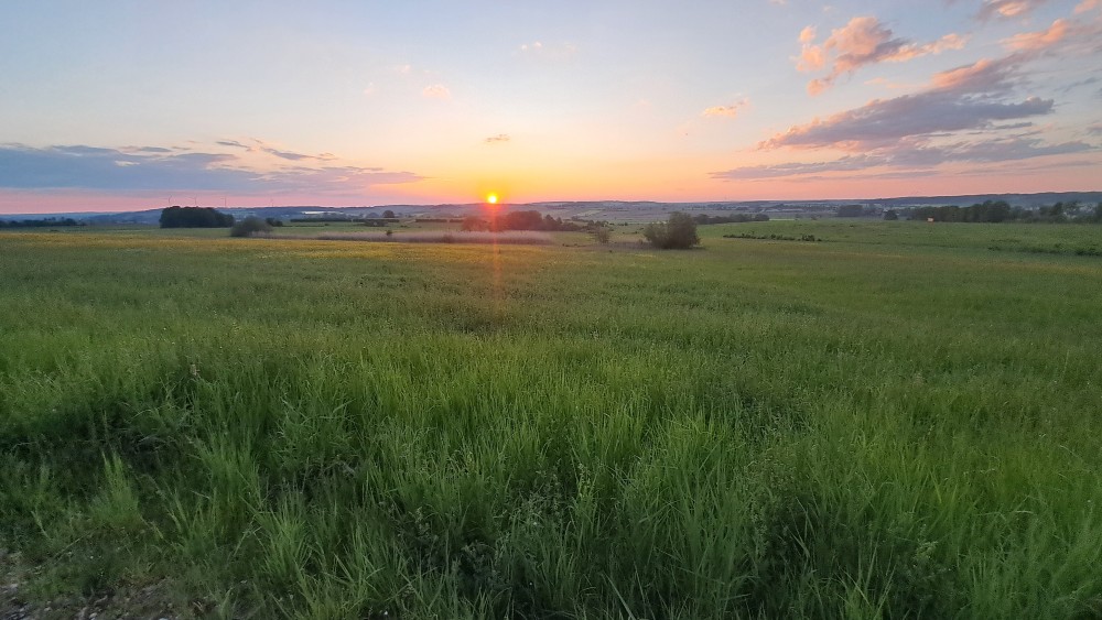 Landschaftsbild am Limeseum